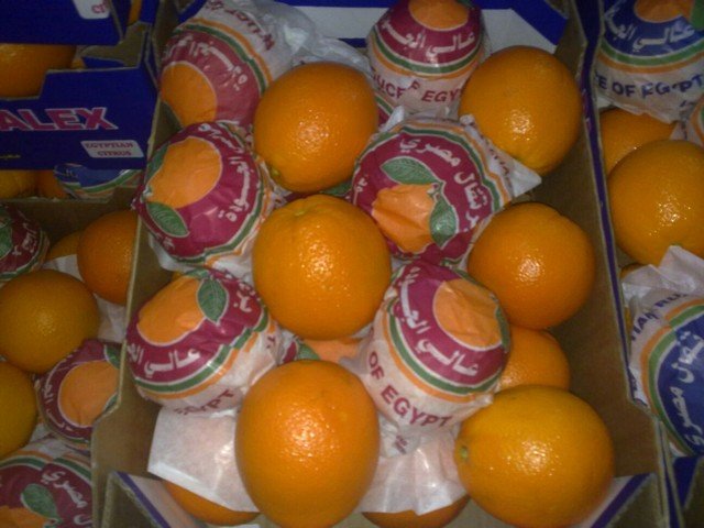 Our Products Gallery