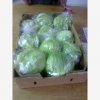 Our Products Gallery